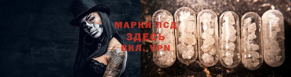 2c-b Бородино