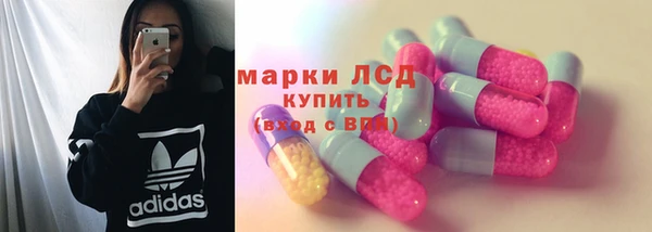 2c-b Бородино