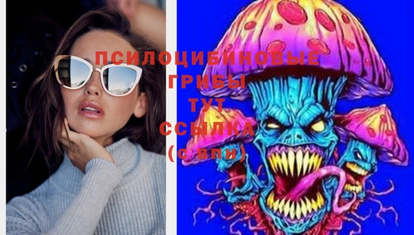 молекула духа Бугульма
