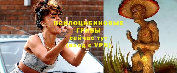 молекула духа Бугульма