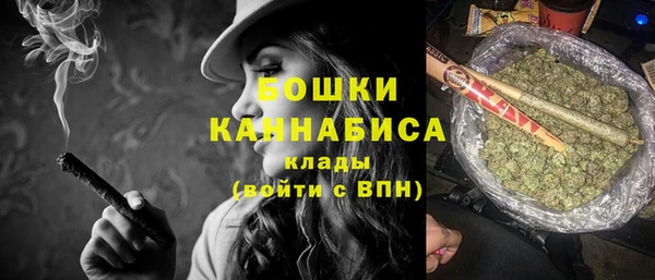 мдпв Верхний Тагил