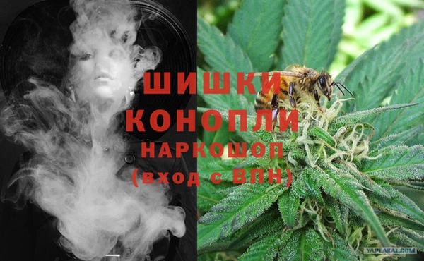 2c-b Бородино