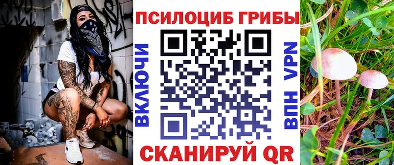 Галлюциногенные грибы GOLDEN TEACHER Камешково